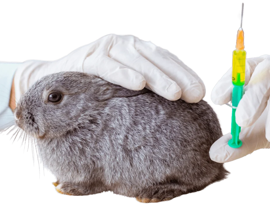 Rabbit medication dosage calculator
